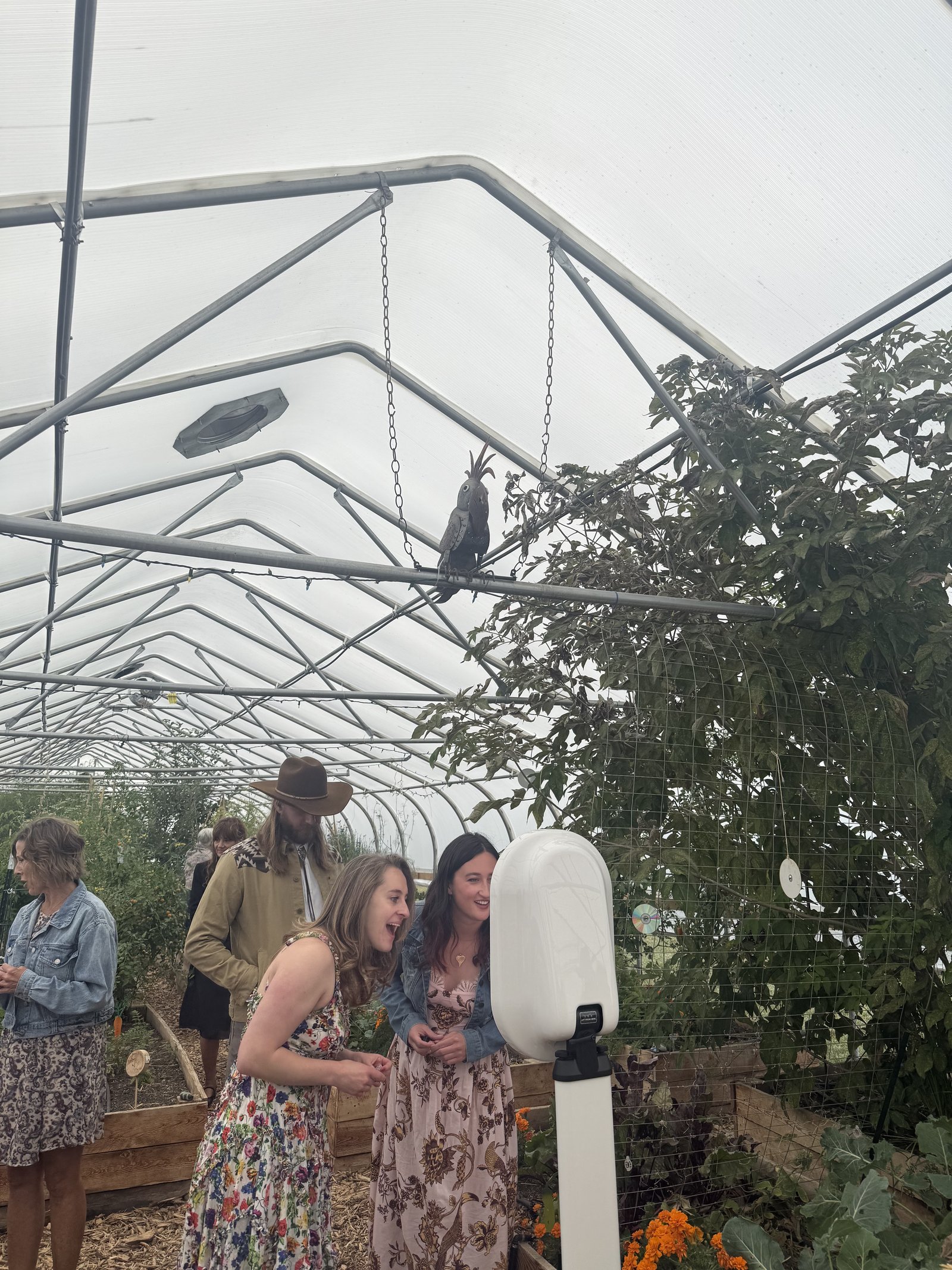 Wedding guests at the photo booth in the greenhouse